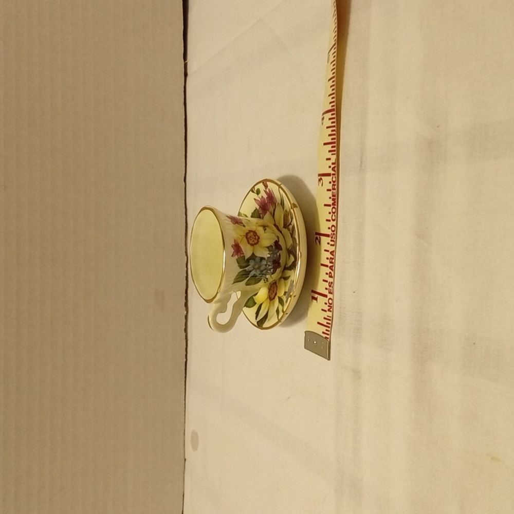 StaffordShire Miniature Bone China